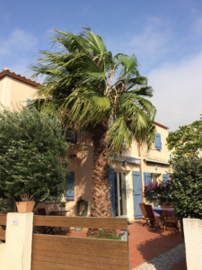 Das Ferienhaus "Mas Analina" in Narbonne-Plage